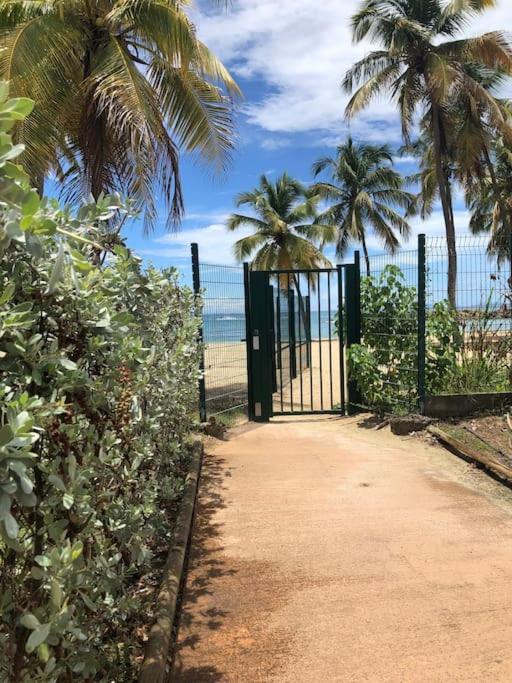 Soleiade Le Gosier - Acces Plage Buitenkant foto